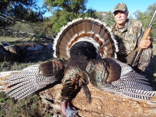 goulds turkey hunting in arizona guides outfitters