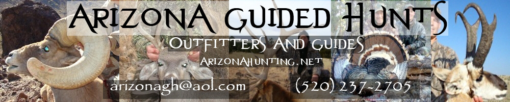 Arizona Guided Hunts outfitters and guides banner desert sheep, coues deer, elk, turkey, antelope