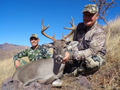 coues deer in arizona guides outfitters hunting