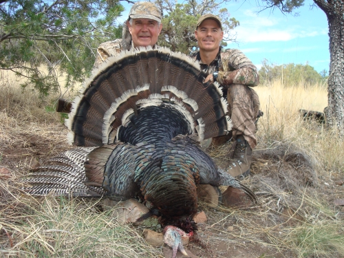 arizona goulds turkey hunting AZ super raffle tag