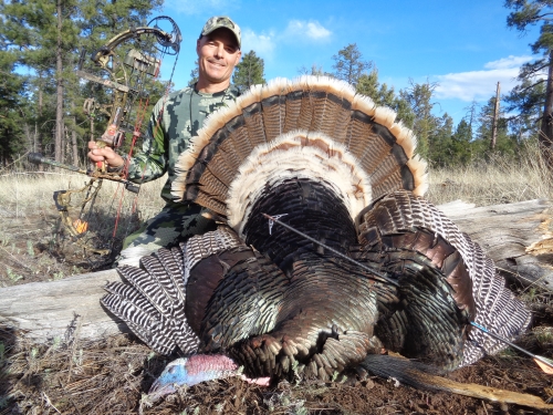 Merriam's turkey archery bowhunting bow hunt