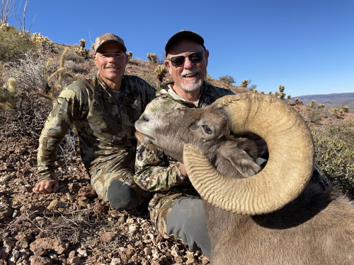 arizona desert bighorn sheep hunting photo image guides outfitters
