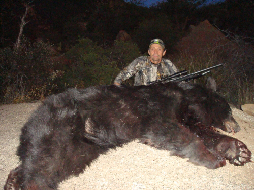 arizona bear hunt