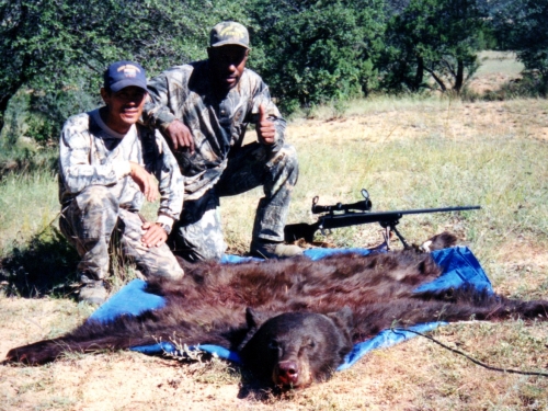 arizona bear hunting guides