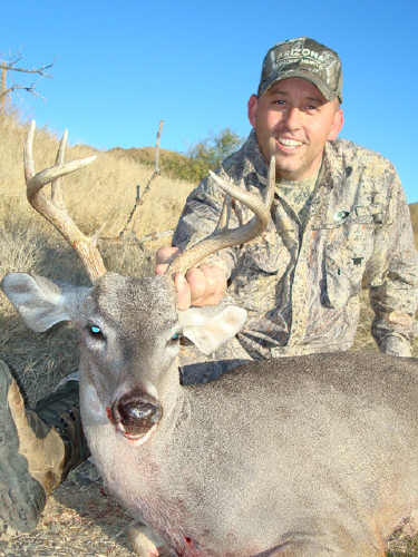 Arizona Coues Deer