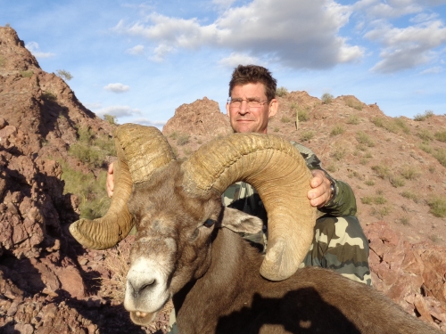 arizona desert bighorn sheep guides hunts outfitters ram