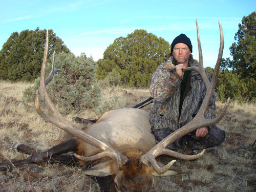 arizona elk hunting