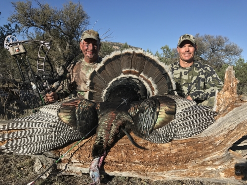 arizona goulds turkey hunting with bow archery hunts guides