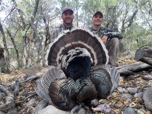 goulds turkey hunting in arizona hunts outfitters guides images