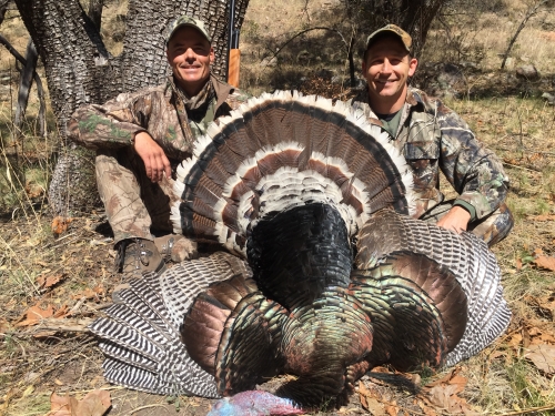 arizona goulds turkey hunting with arizona guided hunts guides images