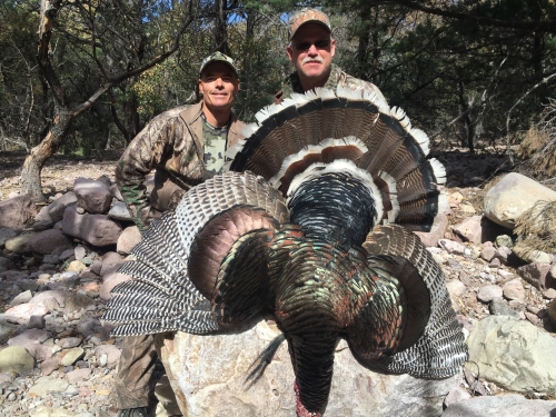 arizona gould's turkey hunt outfitter guide hunting