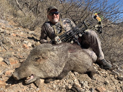 archery javelina hunting bow arizona outfitters guides hunts