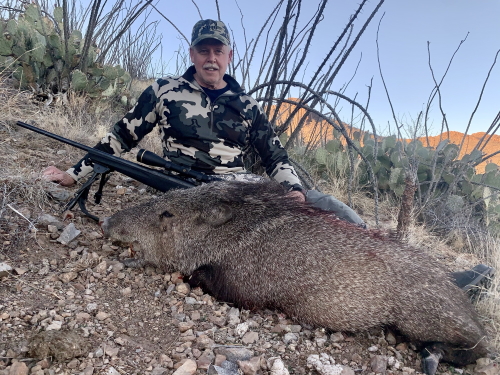 javalina javelina hunting in arizona with a rifle guides outfitters