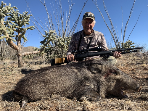 arizona rifle season javelina hunting guide outfitters