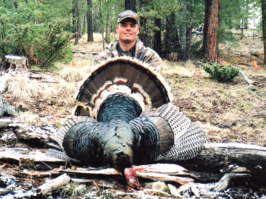 arizona merriam's turkey hunting guide outfitter hunt unit 1