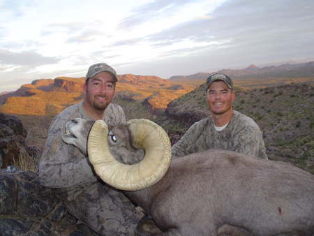 desert bighorn sheep guides