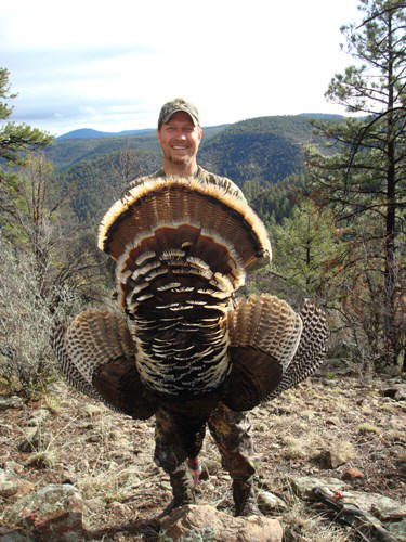 big new mexico merriam's turkey