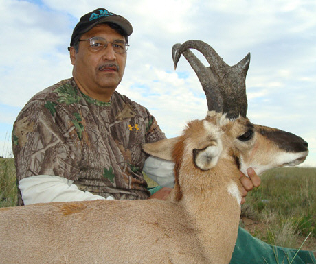 arizona pronghorn antelope