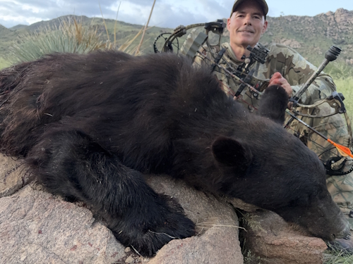 arizona archery bear hunting guides outfitters image