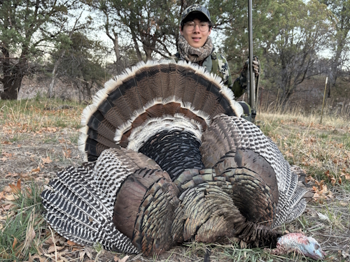 arizona goulds turkey hunts guide outfitter