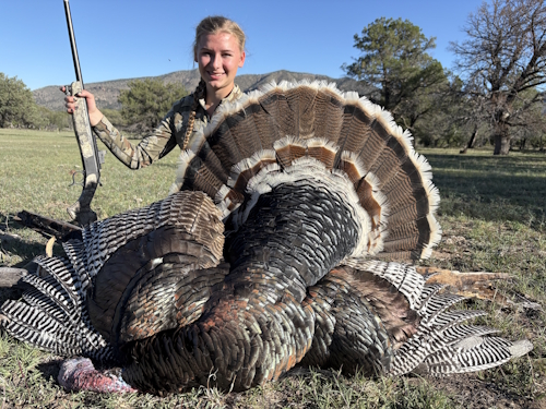 arizona goulds turkey hunting guides outfitters image photo