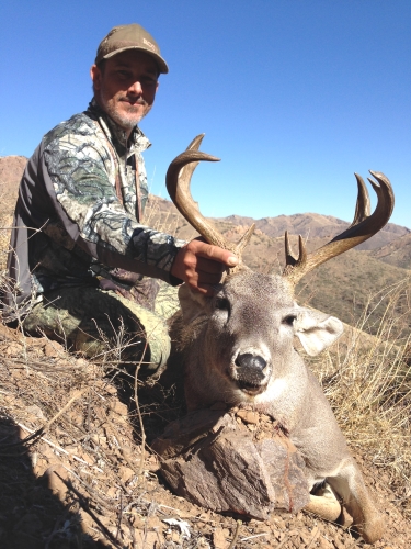 arizona coues deer hunting with arizona guided hunts outfitters guides