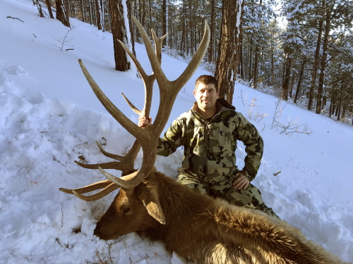 late season rifle bull elk hunting in arizona guides outfitters