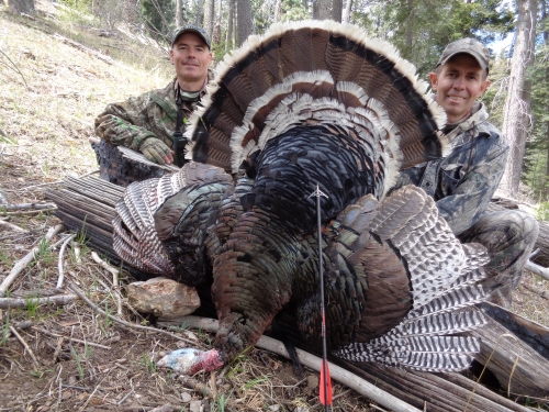arizona goulds turkey hunt bow crossbow outfitters guides