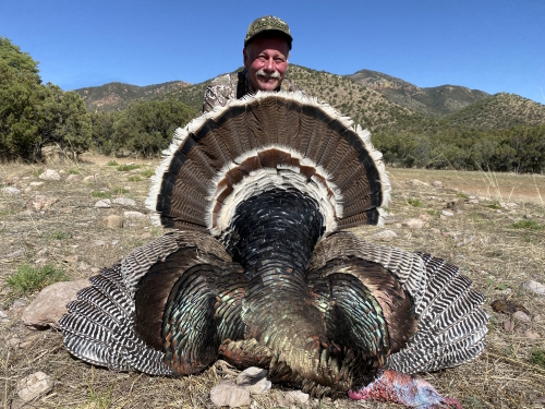 gould's turkey arizona hunting guides outfitters image