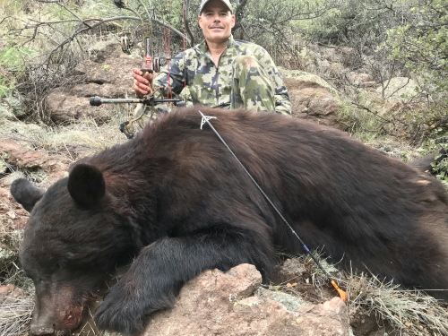 arizona bow hunting for bears guide outfitters hunts