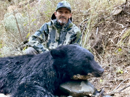arizona rifle bear season hunting guides