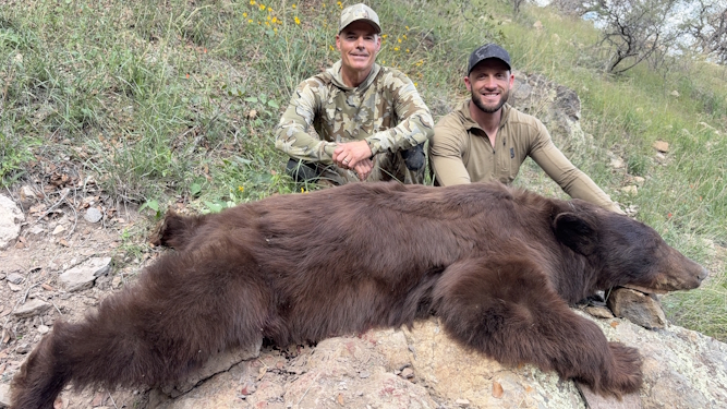 arizona bear hunting images photos outfitters guides