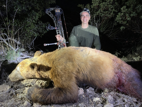 archery bear hunting in arizona with outfitter guides guided hunts