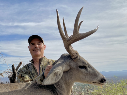 arizona coues deer hunting outfitters guides hunts