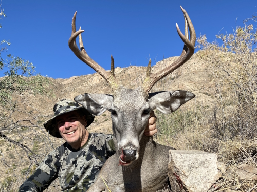 coues deer hunting in arizona image photo guides outfitters