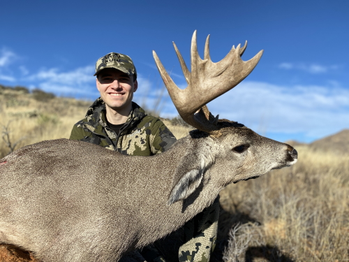 image of arizona coues deer hunting outfitters guides