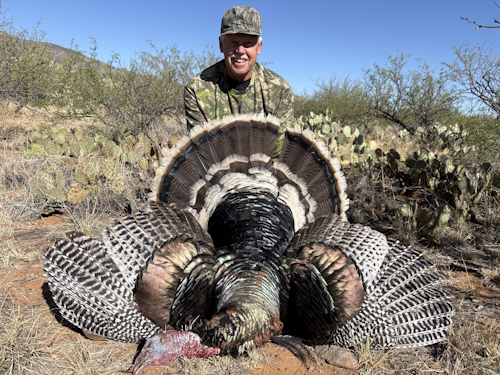 goulds turkey hunting in arizona with guides outfitters