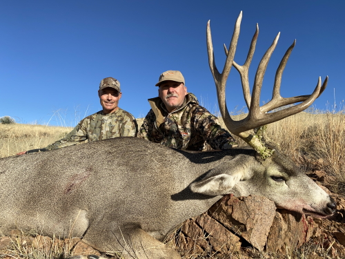 arizona desert mule deer hunting guided hunt