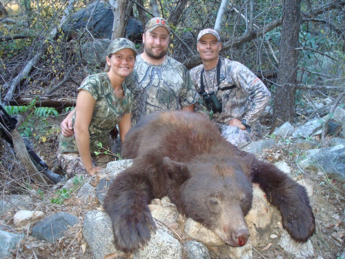 arizona bear hunt