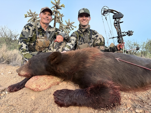 archery bow hunting arizona bear