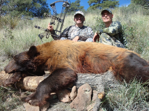arizona bow hunting for bear
