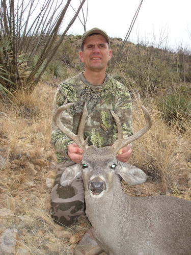 hunting coues deer in arizona