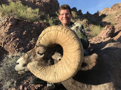arizona desert bighorn sheep hunting outfitter guide