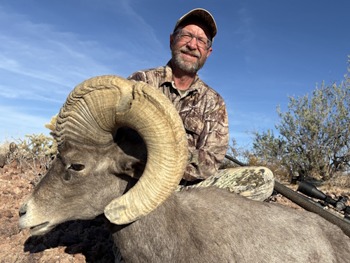 arizona desert bighorn sheep hunting guides and outfitters images