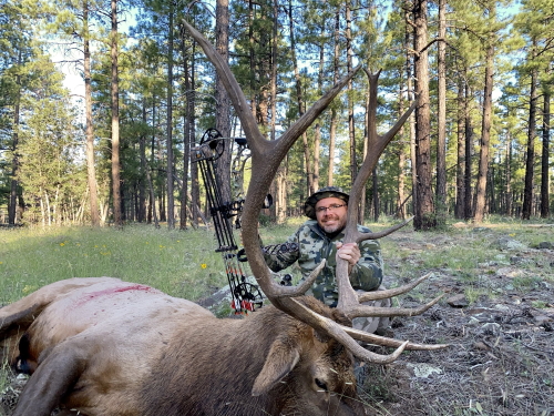 arizona elk guides bow hunting archery bull
