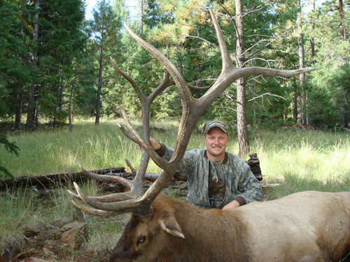 arizona elk hunting 