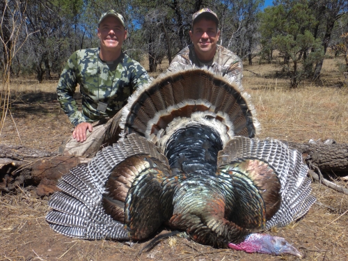arizona goulds turkey hunting guide outfitter