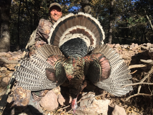arizona gould's turkey hunting hunts images