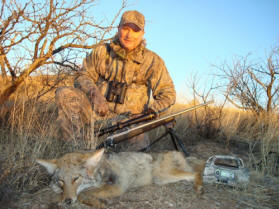  chasse au coyote 