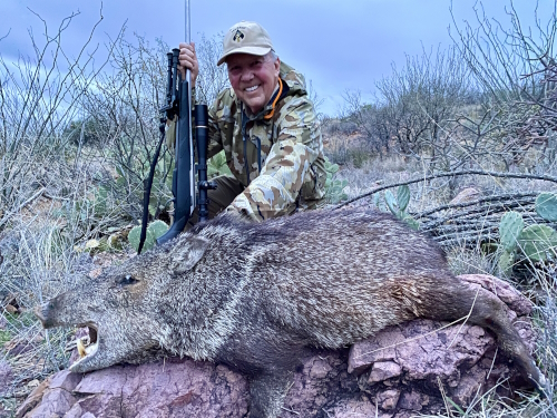 arizona rifle javelina hunting image outfitters guides